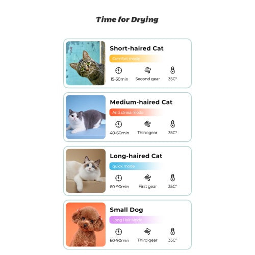 Dry Your Pet in Minutes – Say Goodbye to Scared, Wet Cats! ⭐⭐⭐⭐⭐